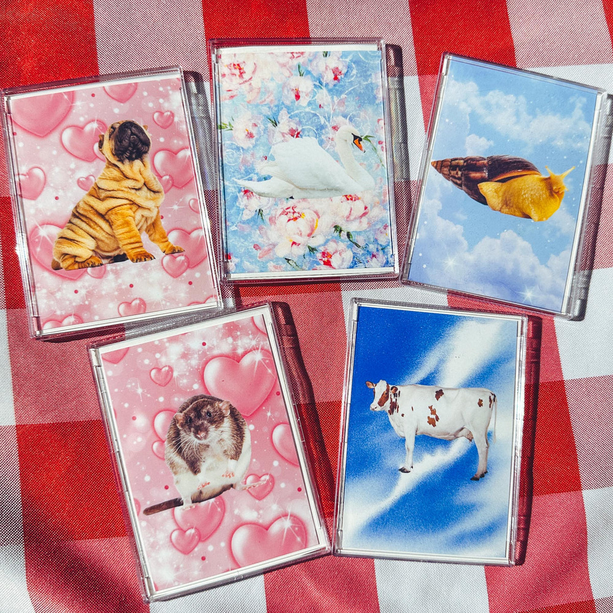 Emotional Support Blind Bag | Adopt A Mystery Friend