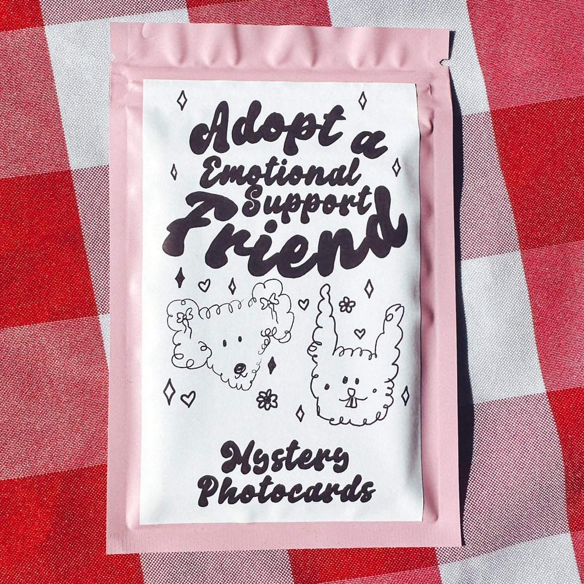 Emotional Support Blind Bag | Adopt A Mystery Friend