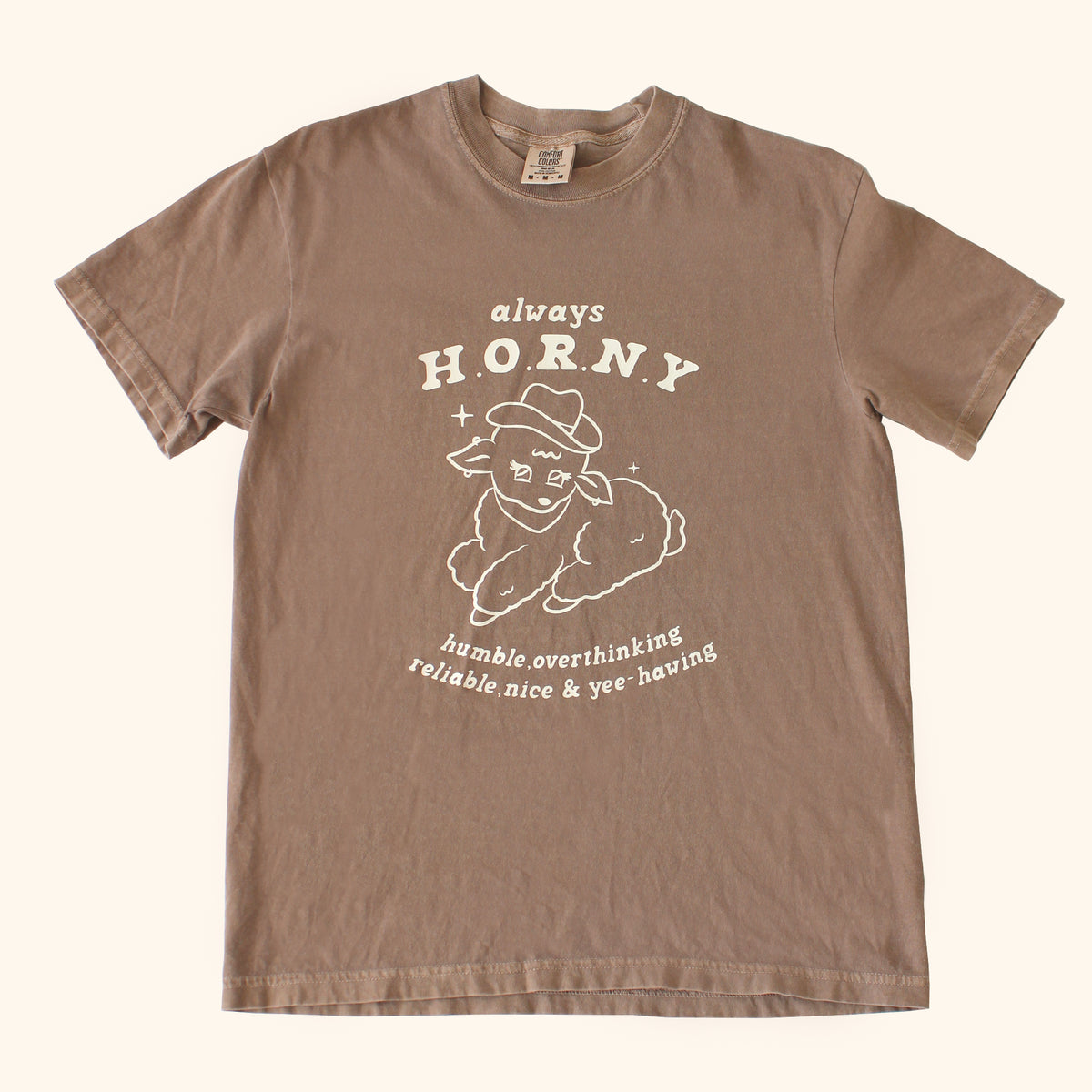 Always H.O.R.N.Y | Brown T-Shirt + Colorful Front Graphic