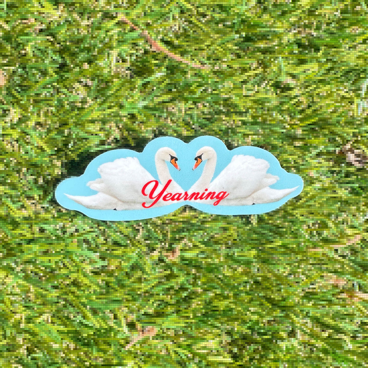 Yearning Swans | Sticker