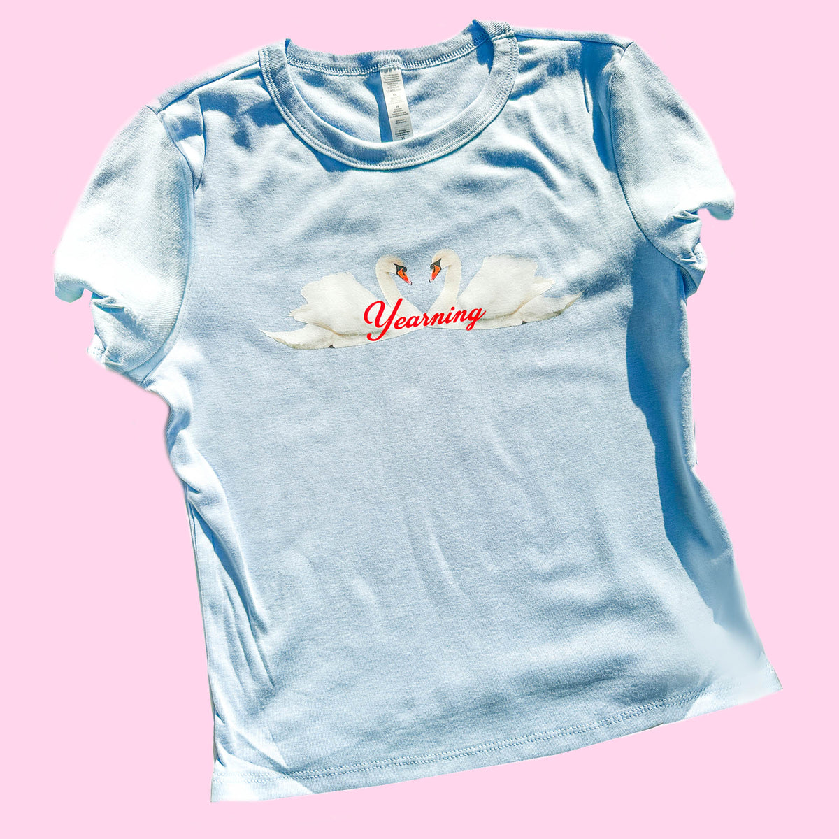 Yearning Swans Tee | Baby Blue Tee + Colorful Graphic