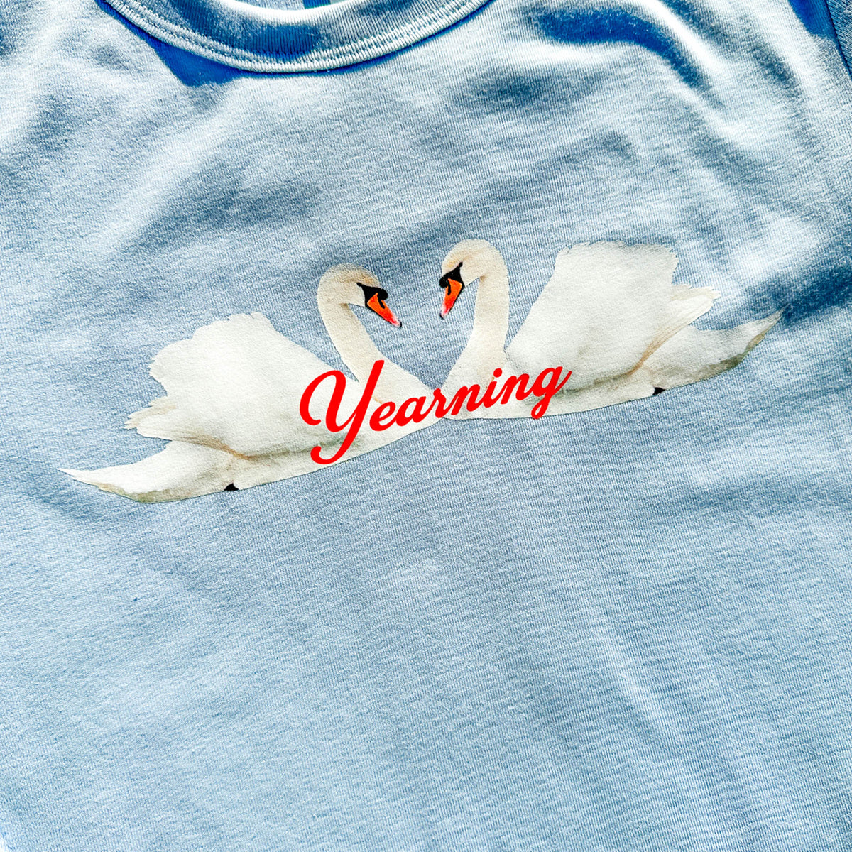 Yearning Swans Tee | Baby Blue Tee + Colorful Graphic